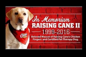Iconic Rasing Canes Mascot, Raising Canes II, Dies