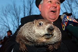 Why A Groundhog To Predict The Weather?