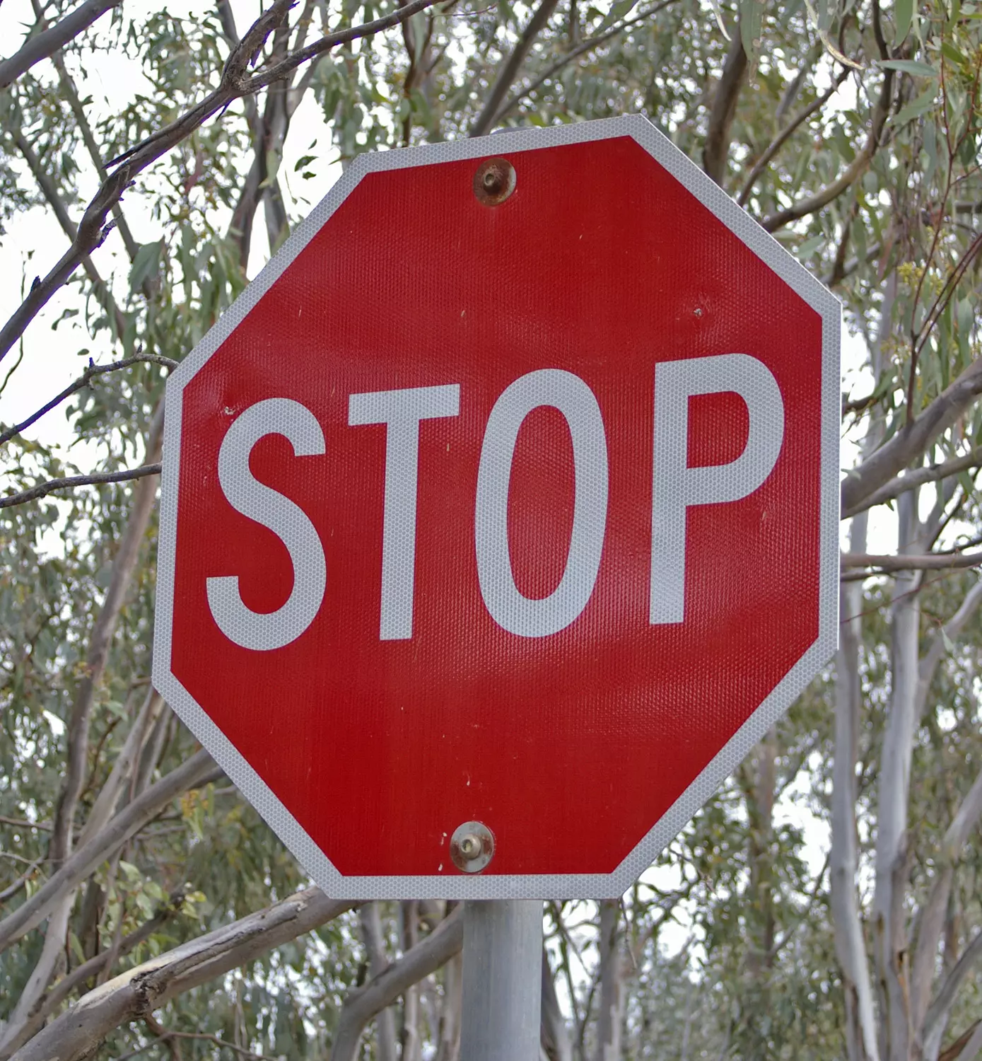 Can You Get a Ticket for Running a Stop Sign in a Parking Lot?