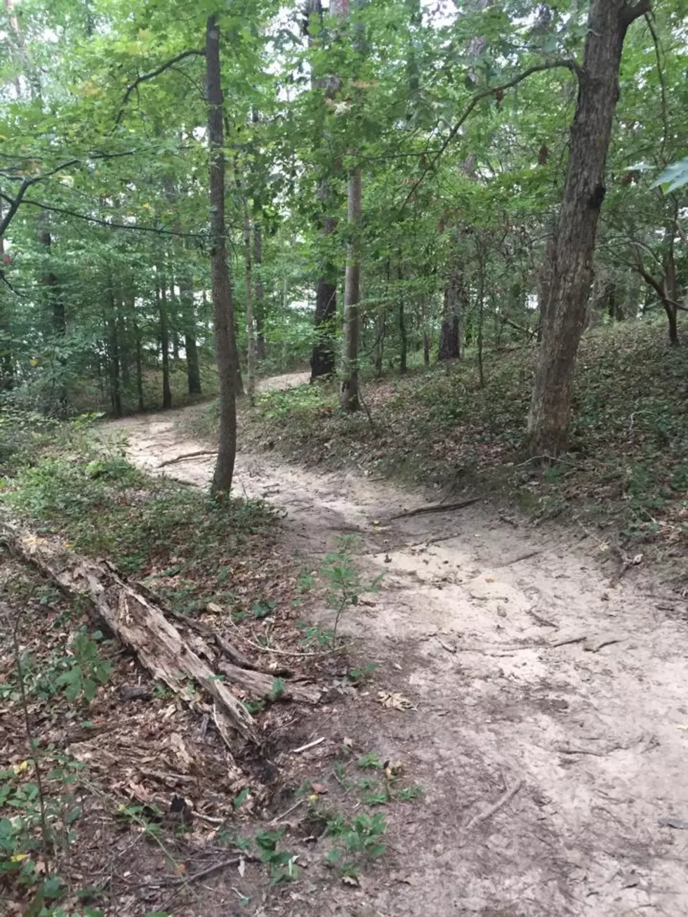 Hiking Trails in Louisiana