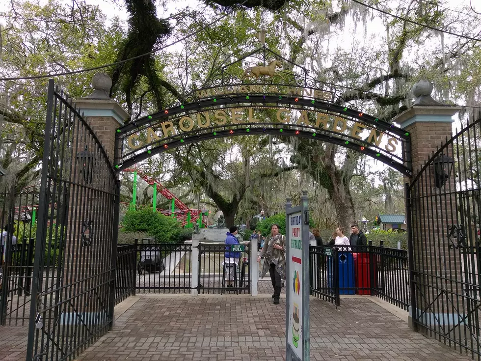 Next Time You Re In New Orleans Check Out Carousel Gardens