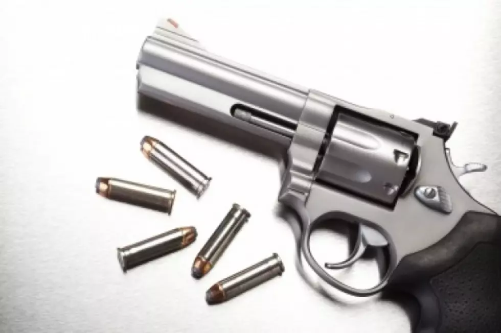 Do-Not-Sell Gun Legislation Gains Momentum