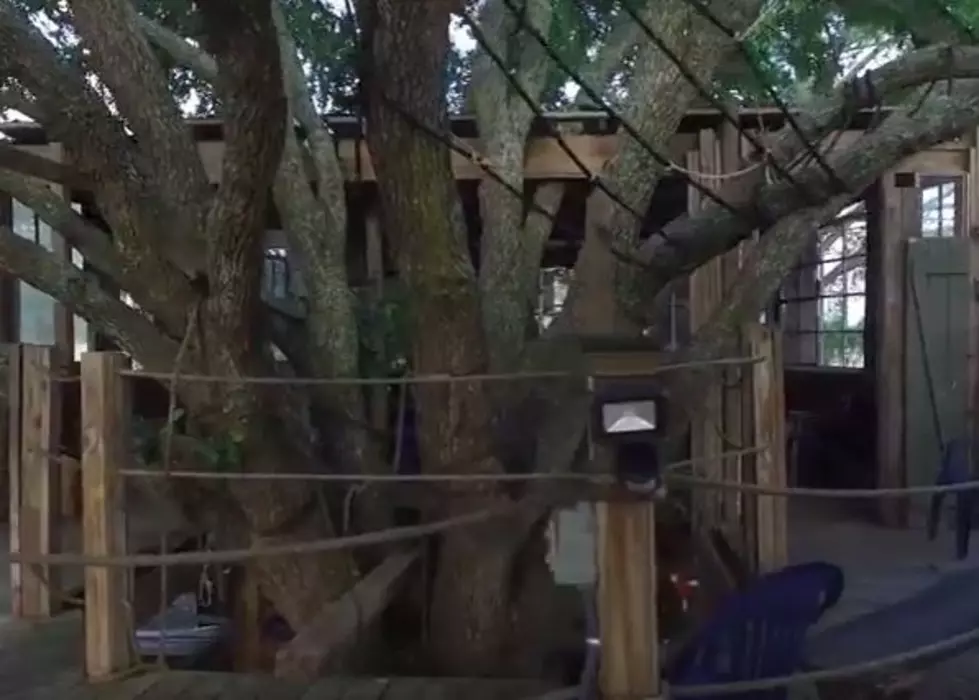 Three Really Cool Tree Houses For Rent In Louisiana