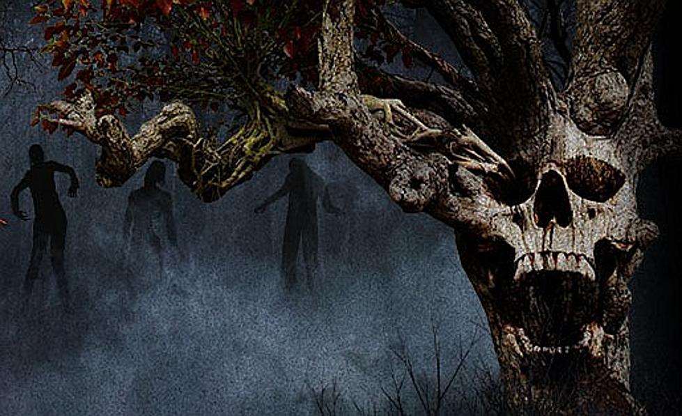 ‘Tree Farm Massacre’ In Leesville Looks Like A Great Halloween Road Trip [Video]