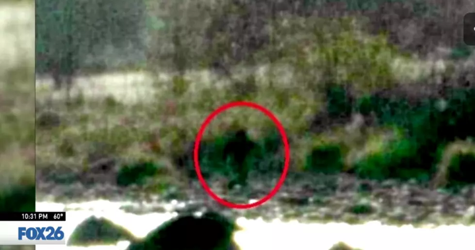 ‘Bigfoot’ Allegedly Spotted In Northern California, Pictures Go Viral [Video]