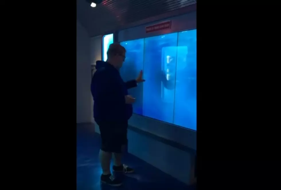 Shark Tank Prank Yields Epic Reaction [Video]