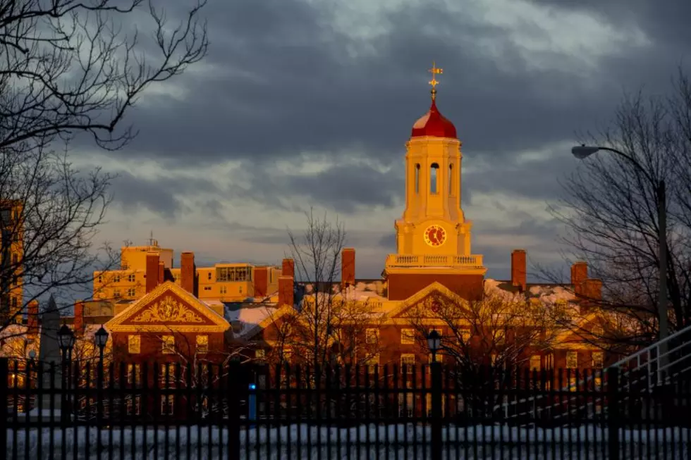 Local Student's Harvard Acceptance Goes Viral