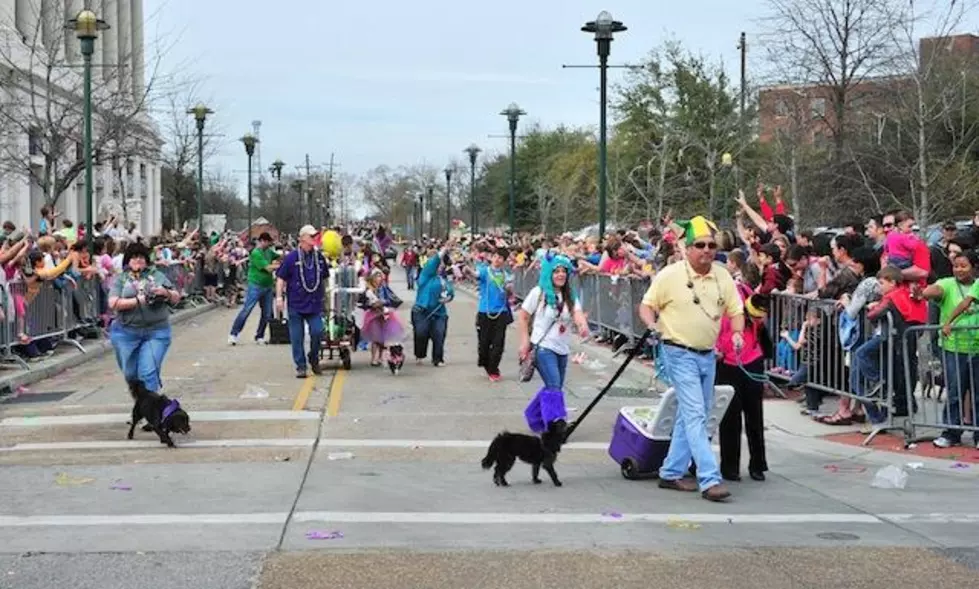 Krewe Des Chien Embarks In Lafayette On February 23rd