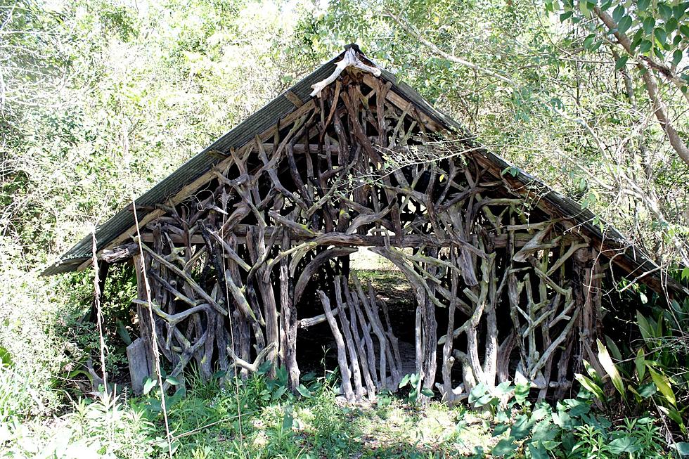 The Incredible 'Covington Heart Pine Knot House'