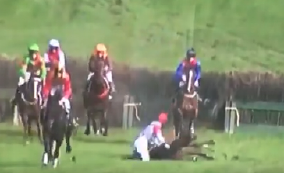 Racehorse Falls Down, Wins Anyway [Video]
