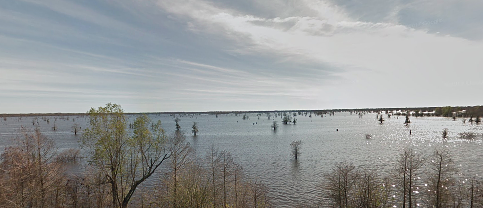 Louisiana Wildlife and Fisheries Plan a Drawdown of Henderson Lake in August