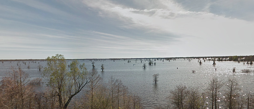 Atchafalaya Basin Drawdown Begins in August 