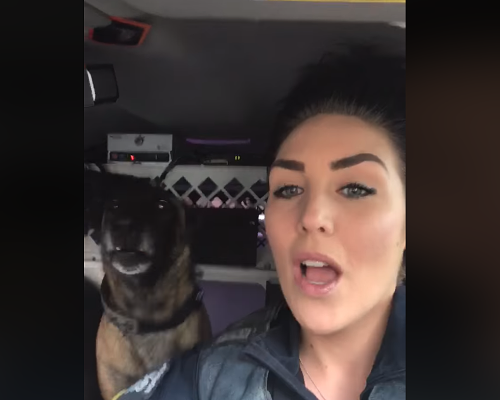 K9 Officer Owns the Lip Sync Challenge Barking Along to &#8216;Who Let the Dogs Out&#8217; [Video]