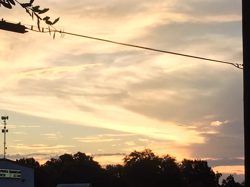 Acadiana Experiencing Spring Allergies Late In The Summer