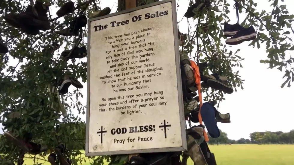 Do You Know About The &#8216;Tree Of Soles&#8217; In Ossun? [Video]