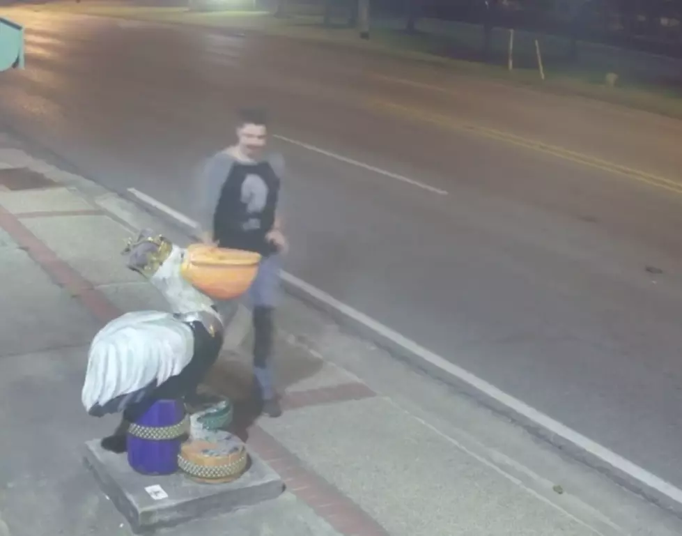 Drunk Man Attacks Pelican Statue In Slidell [Video]