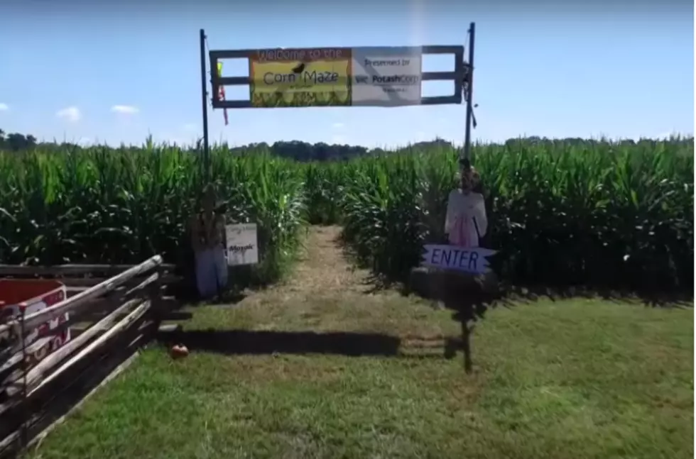 LSU AgCenter’s Corn Maze is Open for Fall 2018