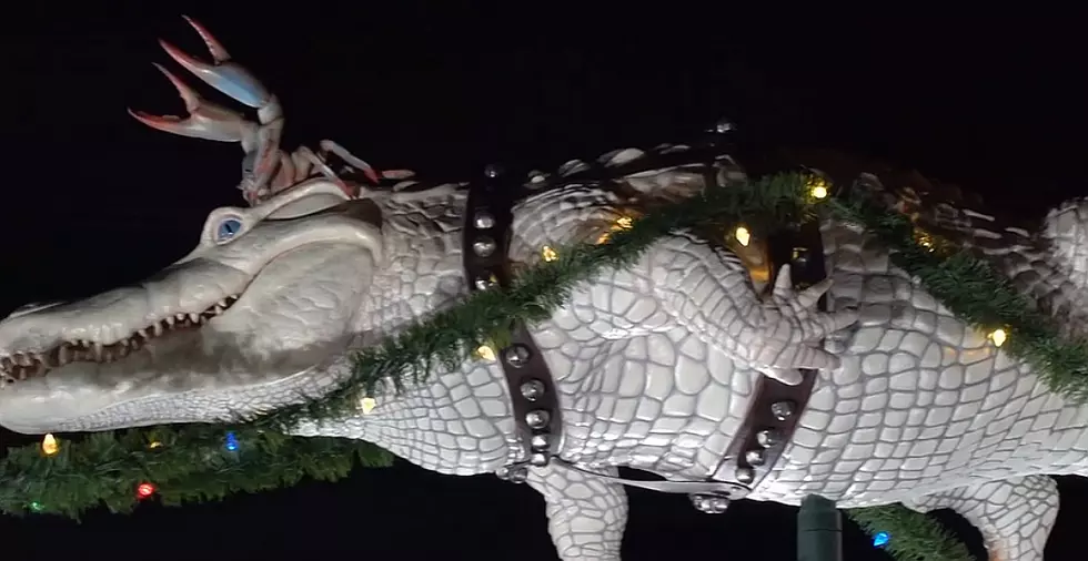 Check Out This Awesome &#8216;Cajun Christmas Reingator&#8217; Display [Video]