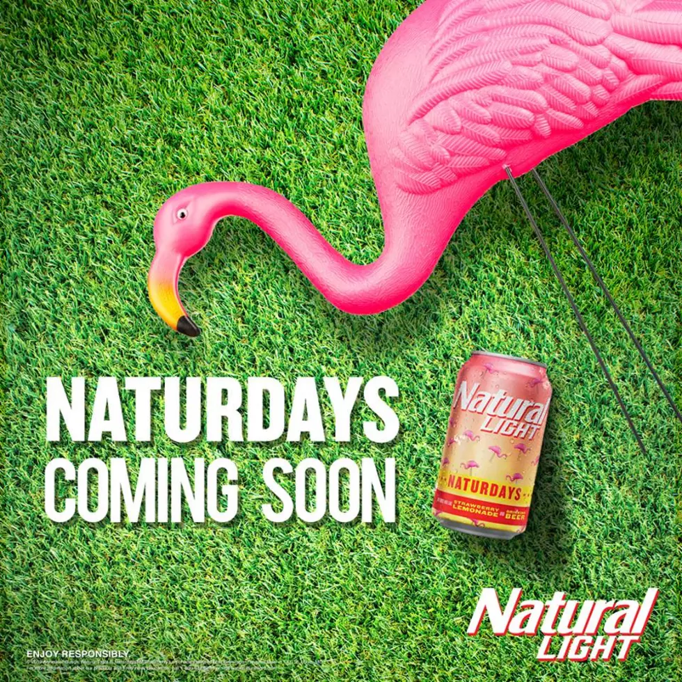 Natural Light Launches New Strawberry Lemonade Beer &#8216;Naturdays&#8217; [Video]