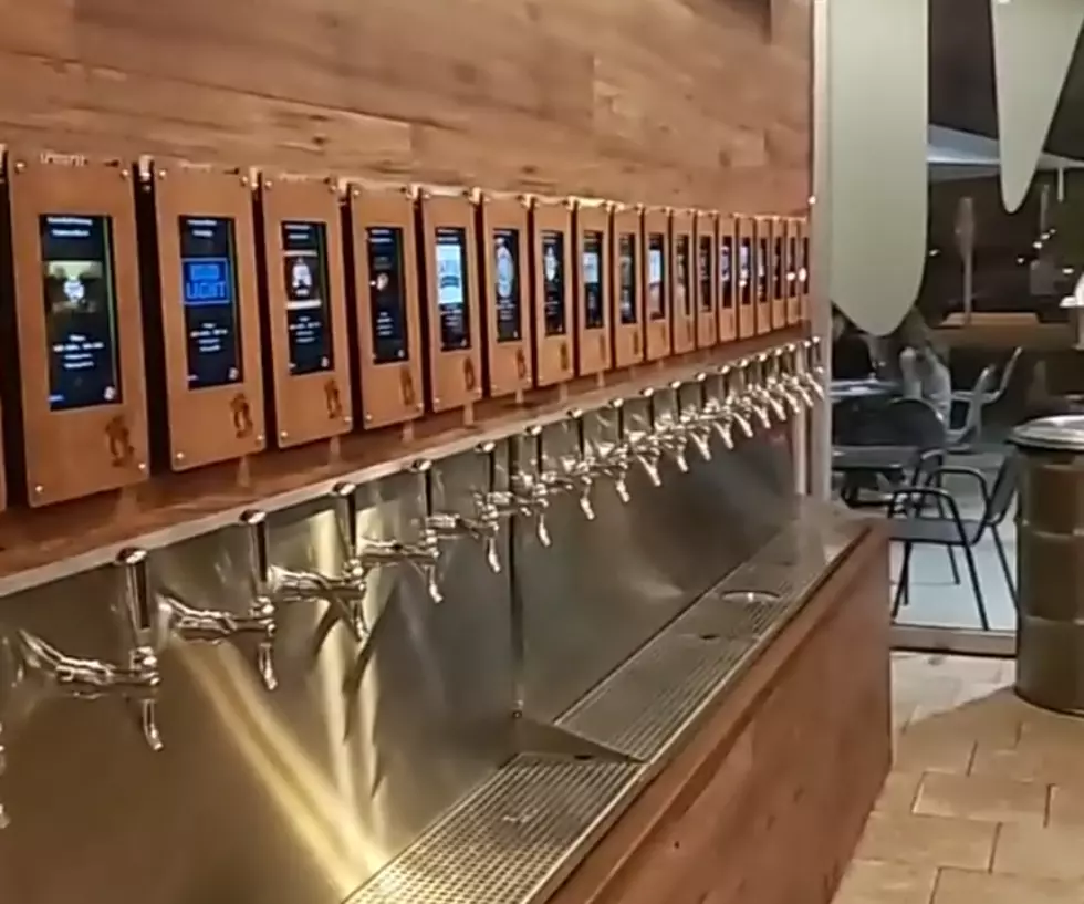 Pizza Artista Adds Self-Serve Beer & Wine 