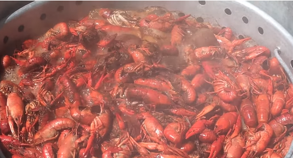 Crawfish Industry Faces Uncertainty in Coronavirus Pandemic