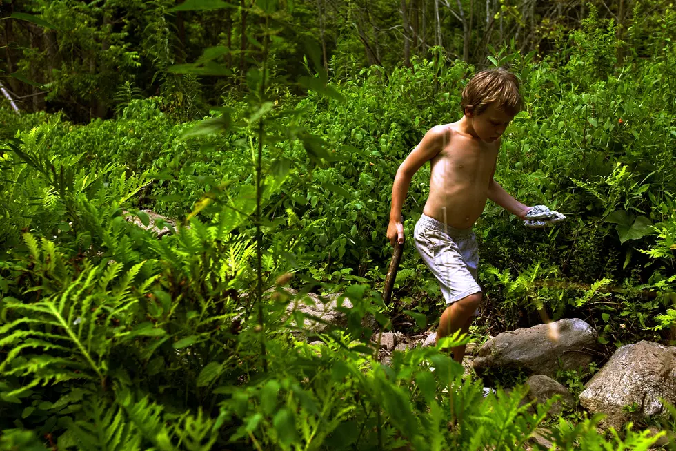 Louisiana Events for &#8216;Kids to Parks&#8217; Day Saturday