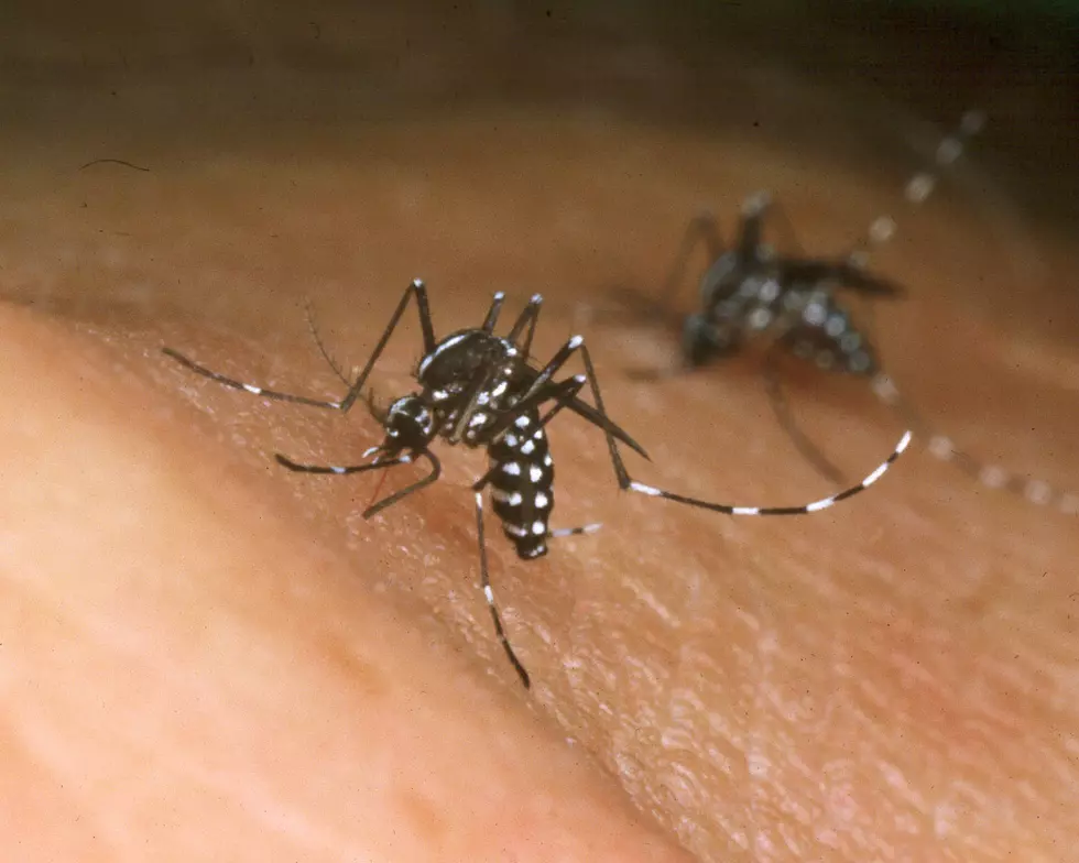 Louisiana Reports 9 West Nile Cases