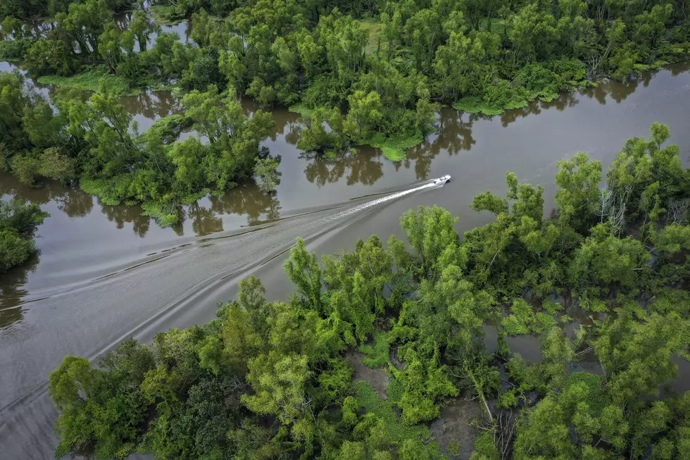 Atchafalaya Basin Festival is Saturday Nov 9th