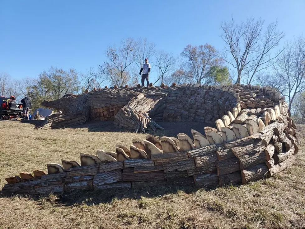 Christmas Eve Bonfires on Mississippi River Levee to Feature Massive 60-Foot Alligator [Photos]
