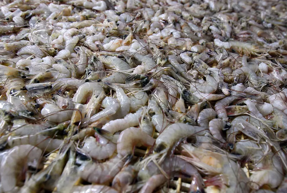 Man Stuffs 30 Bags of Frozen Shrimp Down Pants in California Grocery Store Thefts