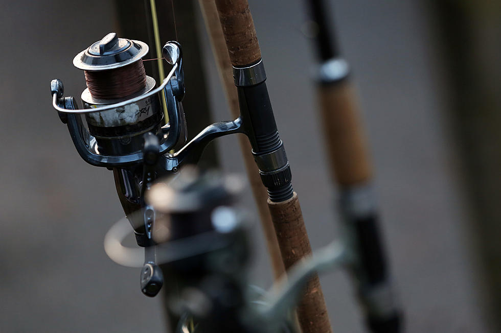 Contest Announced as Rainbow Trout Stocked in Public Ponds Throughout Louisiana