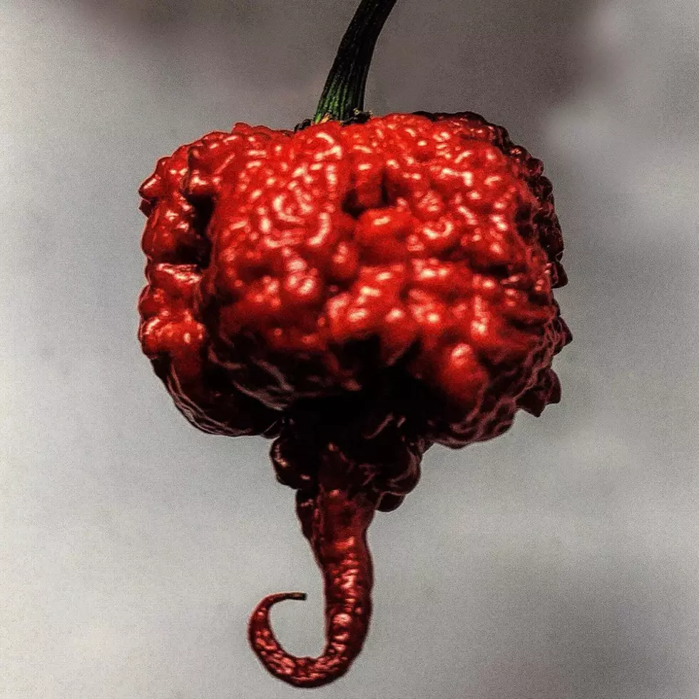 Lafayette Man Has Developed the 4th Hottest Pepper in the World
