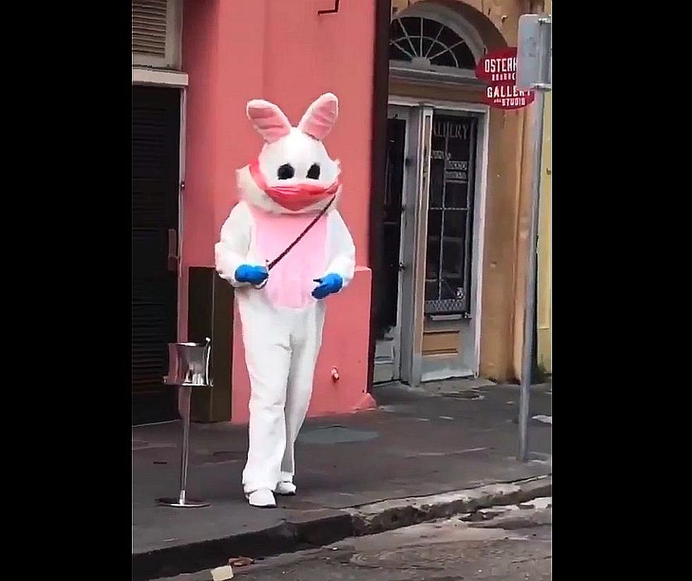 Easter Bunny Singing Quarantine Song in Empty French Quarter is P
