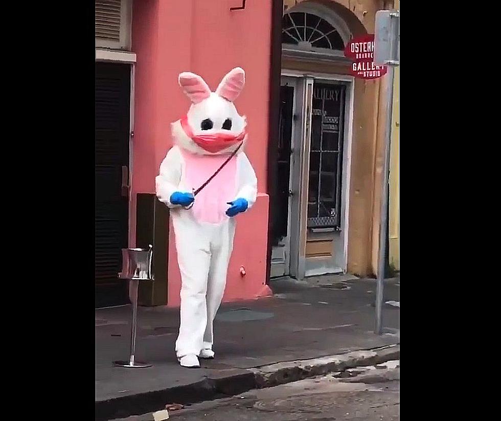 Easter Flashback – Bunny Singing Quarantine Song in Empty French Quarter [Video]