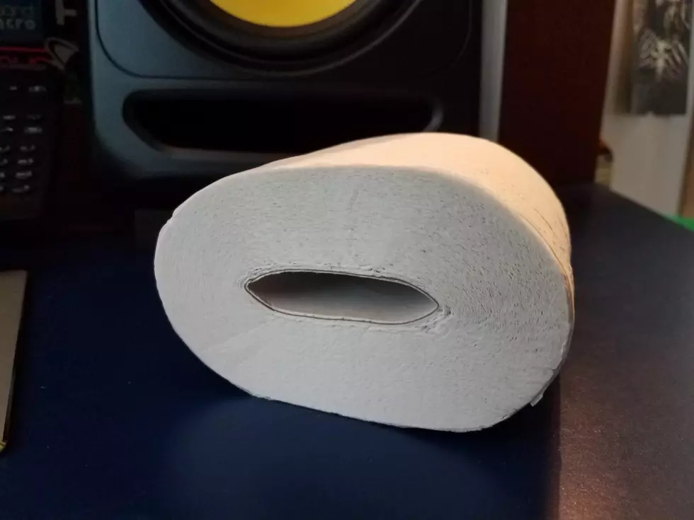 This Simple Toilet Paper Hack Could Make Rolls Last Much Longer [Photo]