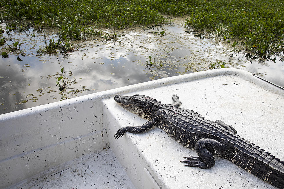 Seven Crazy Louisiana Town Names Explained