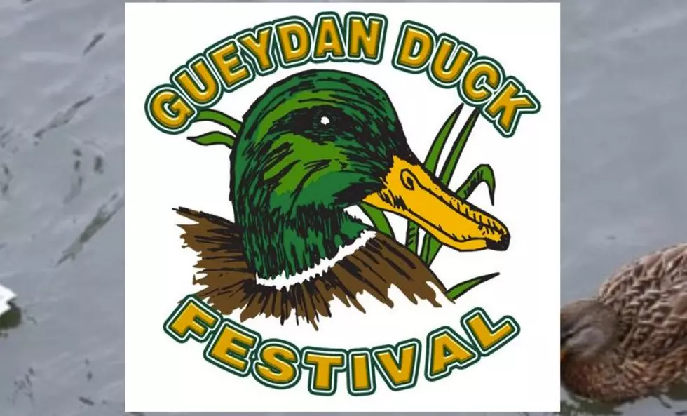 Gueydan Duck Festival Cancels for 2020