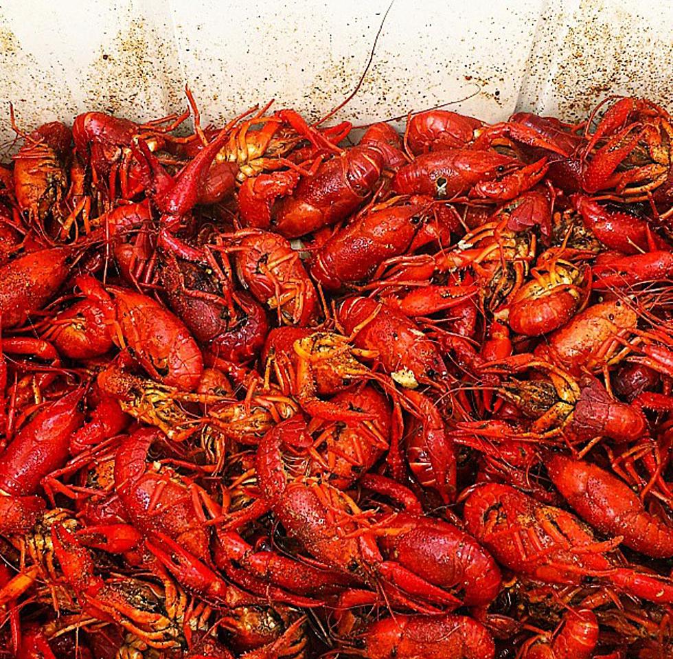 Drought Will Impact Louisiana Crawfish Season - Here's How