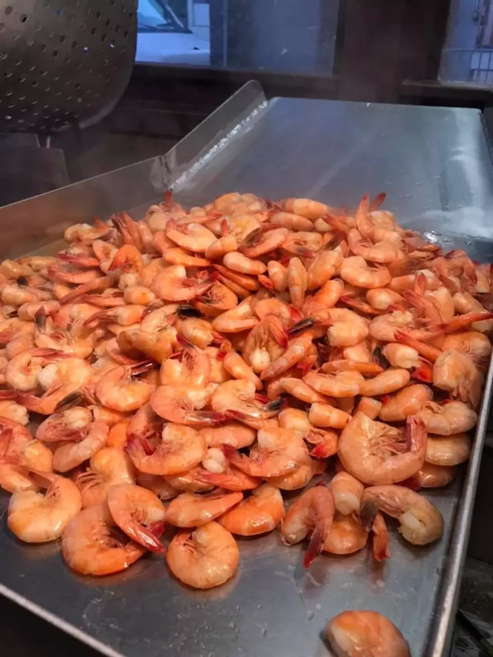 Delcambre Shrimp Festival 2020 Cancelled
