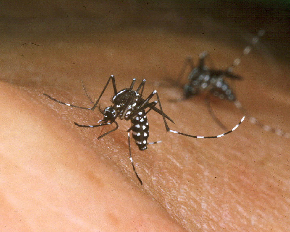 Aerial Mosquito Spraying Scheduled for Acadia Parish This Week