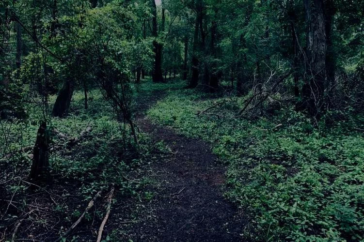 New Naked And Afraid Xl Was Shot In Louisiana S Freakiest Swamp