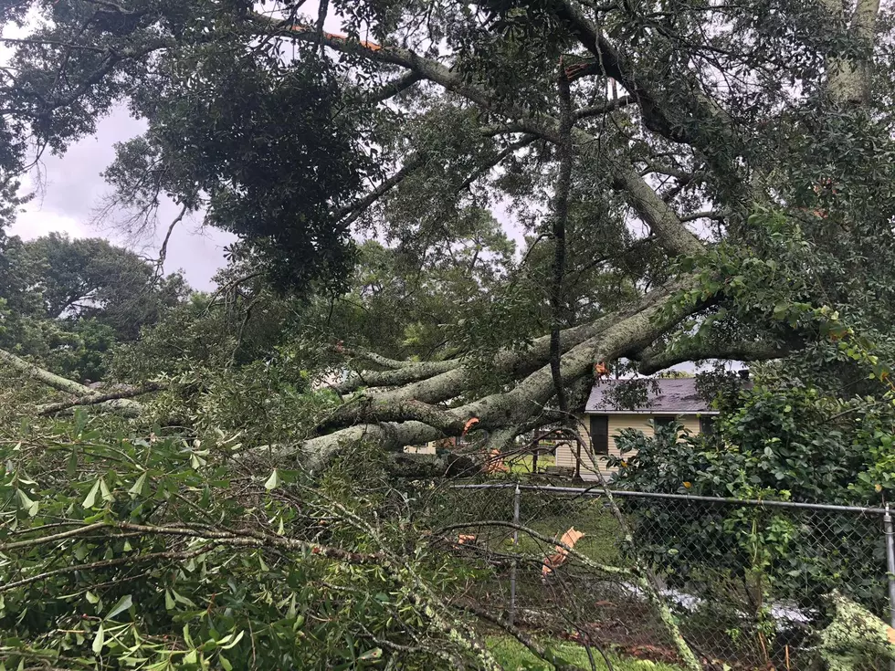 Experienced Storm Damage in Lafayette Parish? Fill Out This Form