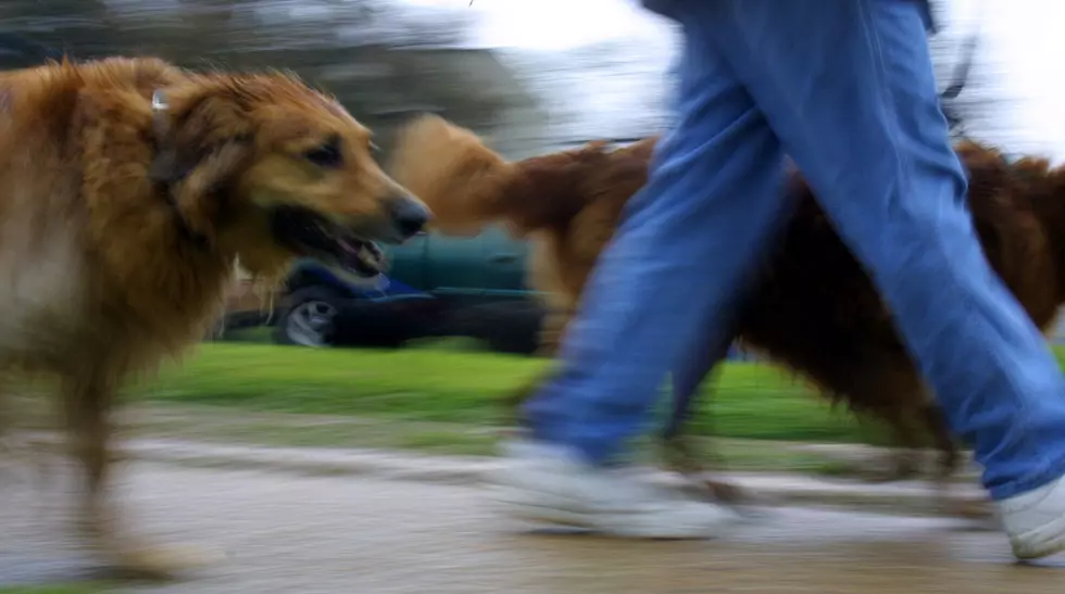 Louisiana Kicks Off New ‘Park With Pets’ Policy