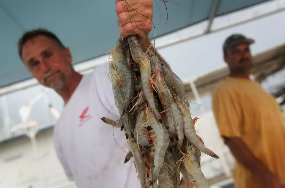 You Can Have Fresh, Local Louisiana Seafood Delivered to Your Front Door