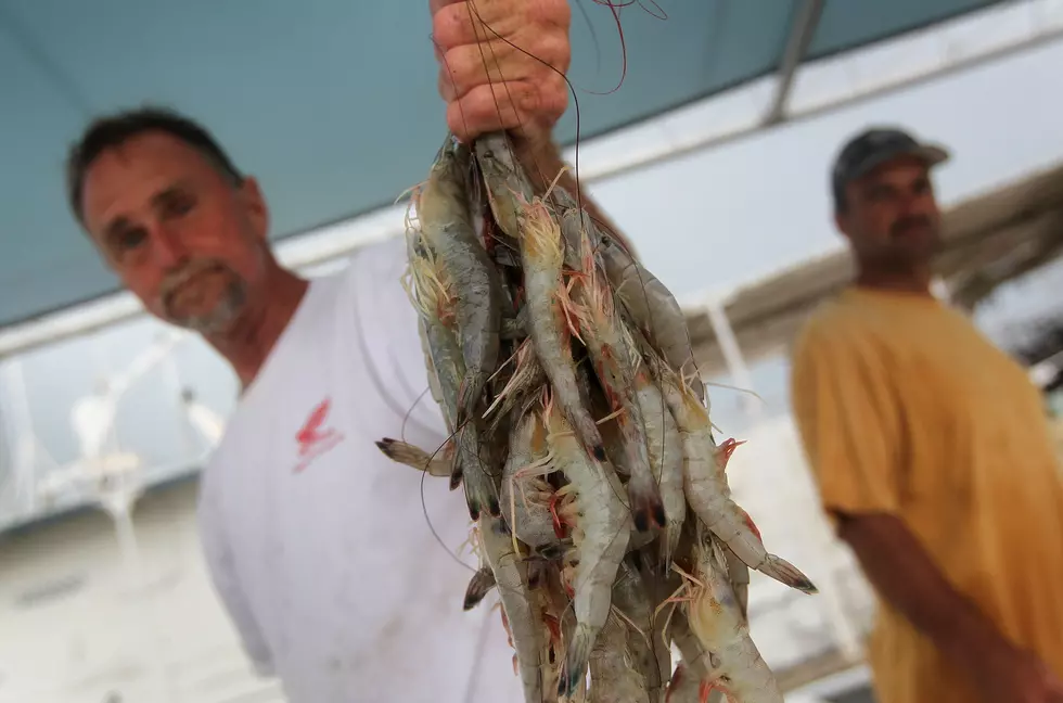 The History Behind Shreveport-Style Stuffed Shrimp