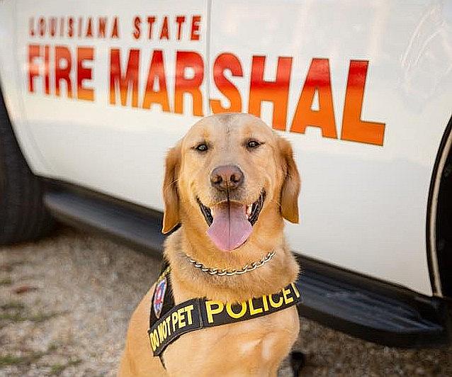 By Permission/Louisiana State Fire Marshal