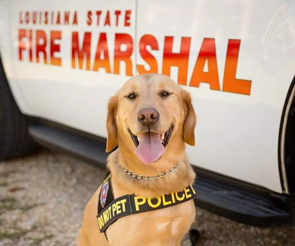 State Fire Marshal Officer ‘Monty’ Retires