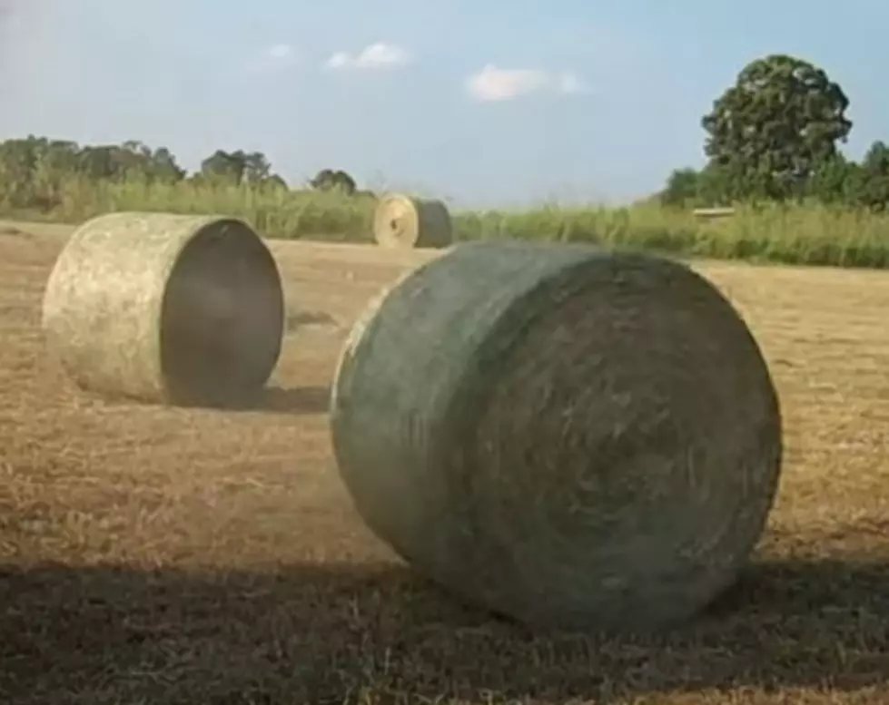 Farm Bureau Opens Hay Clearing House for Storm Affected Farms