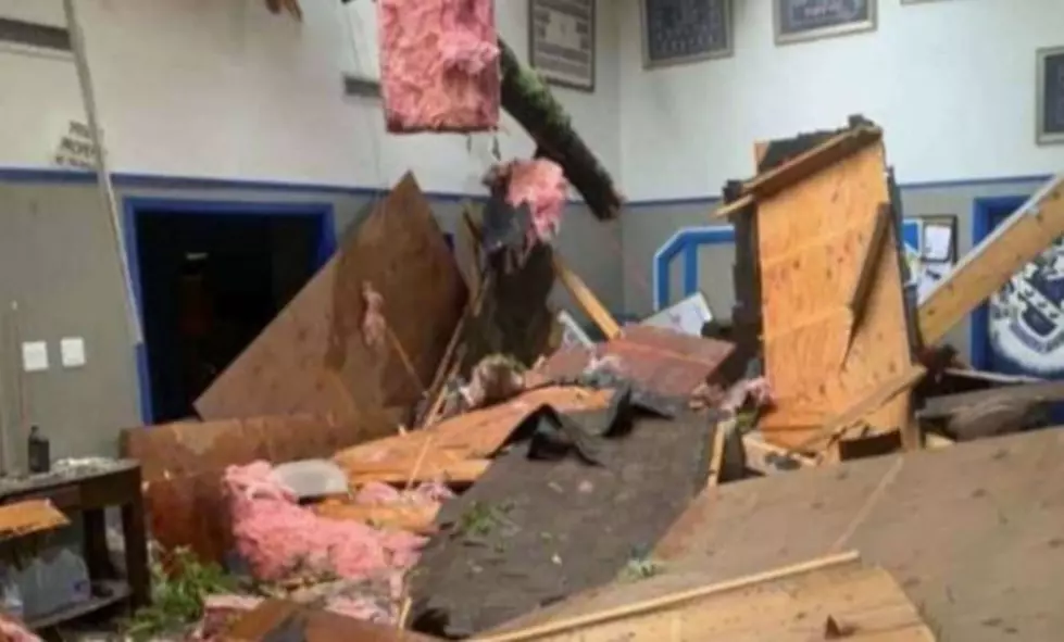 Tree Falls on Fraternity House at the University of Louisiana