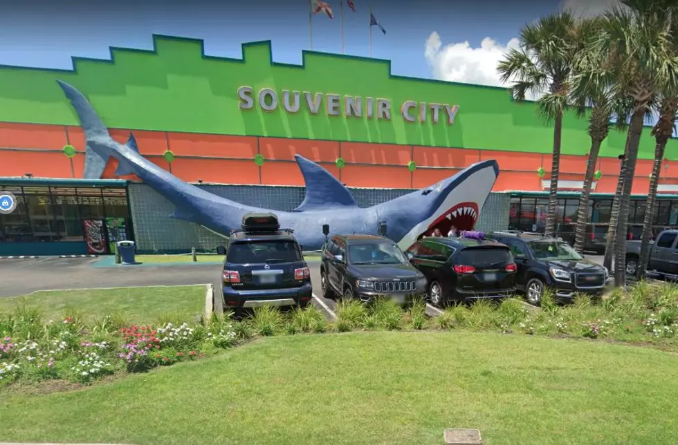 Sally's Winds Topple Building on top of Iconic Shark [Watch]